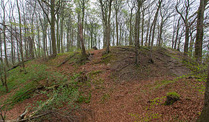 Hünenburg Hohenrode